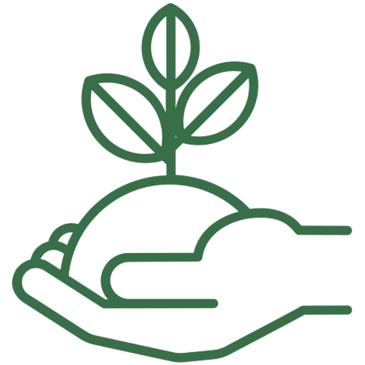 plante-en-croissance.webp plante-en-croissance.webp