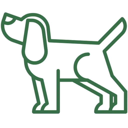 chien.webp